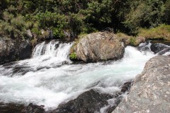 IMG_7340