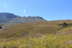 IMG_7342-Nyazengu-Nature-Reserve-Mt.-Nyangani