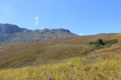 IMG_7343