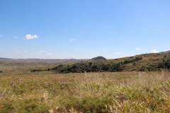 IMG_7346-Nyazengu-Nature-Reserve