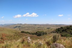 IMG_7349