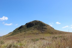 IMG_7351