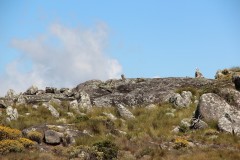 IMG_7360