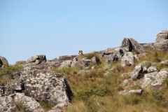 IMG_7362