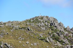 IMG_7368