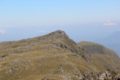 IMG_7382