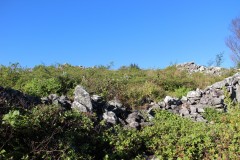 IMG_7390