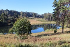 IMG_7399-Rhodes-Dam