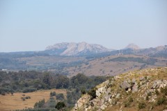 IMG_7411