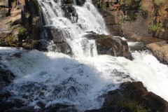 IMG_7422