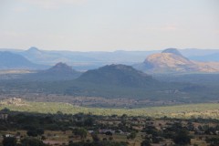 IMG_7444