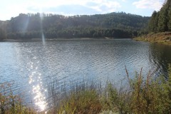 IMG_7449
