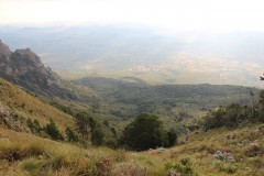 IMG_7463