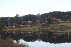 IMG_7471