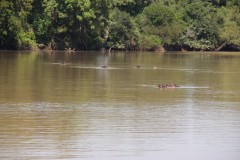 IMG_7519
