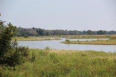 IMG_7535
