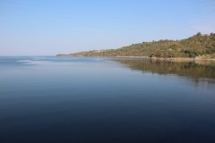 IMG_7571
