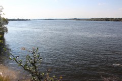 IMG_7613