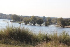 IMG_7626