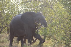 IMG_7632