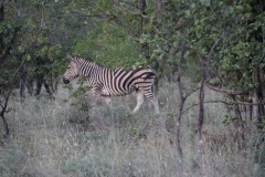 IMG_7643