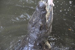 IMG_7659