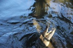 IMG_7665
