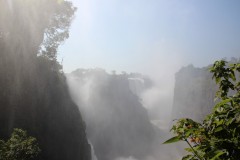 IMG_7675