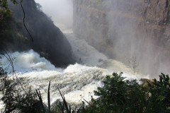 IMG_7681