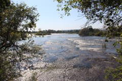 IMG_7684-Cataract-Island