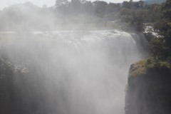 IMG_7687