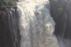 IMG_7691