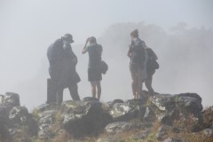 IMG_7702
