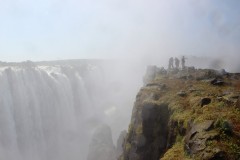 IMG_7703