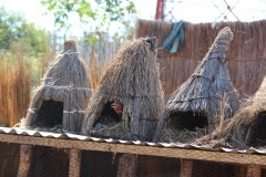 IMG_7785