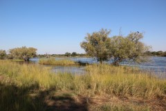 IMG_7804-Mosi-oa-Tunya-NP-Zambezi-River