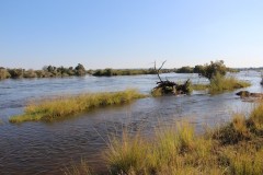 IMG_7806