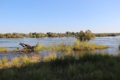 IMG_7807