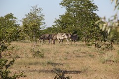 IMG_7812