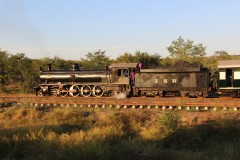 IMG_7837-Livingstone