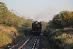 IMG_7842