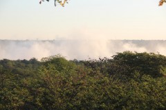 IMG_7845