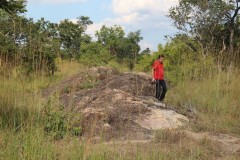 IMG_7859-Lochinvar-NP-Drum-Rocks