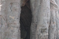 IMG_7865