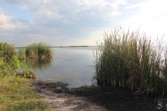 IMG_7866-Lochinvar-NP-Chunga-Lagoon