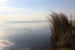 IMG_7867