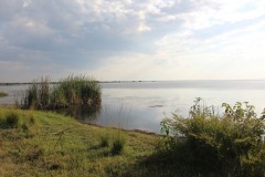 IMG_7868