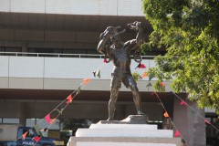 IMG_7887