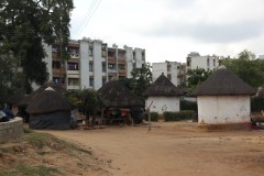 IMG_7916