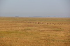 IMG_7931